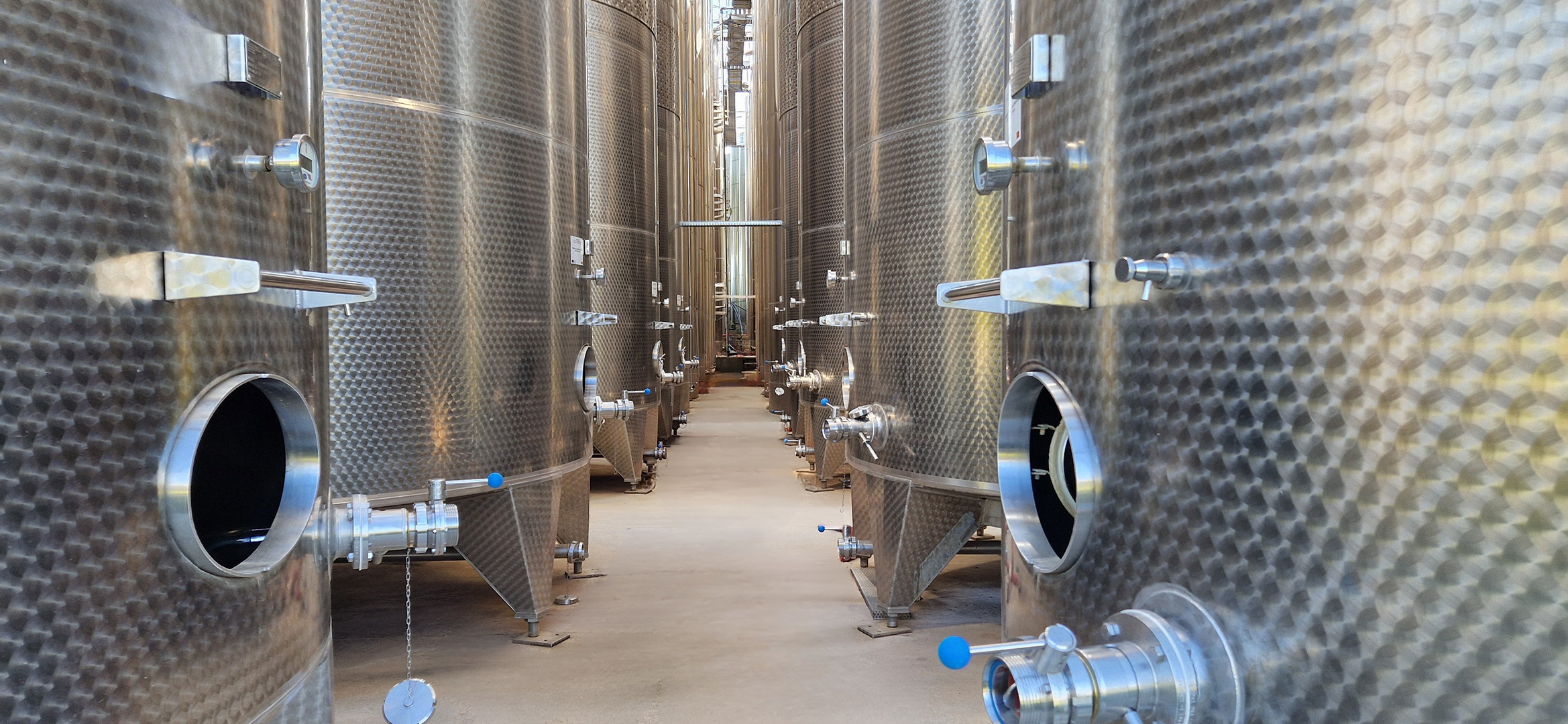 Wine Cellar