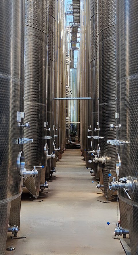 Winery Facilities