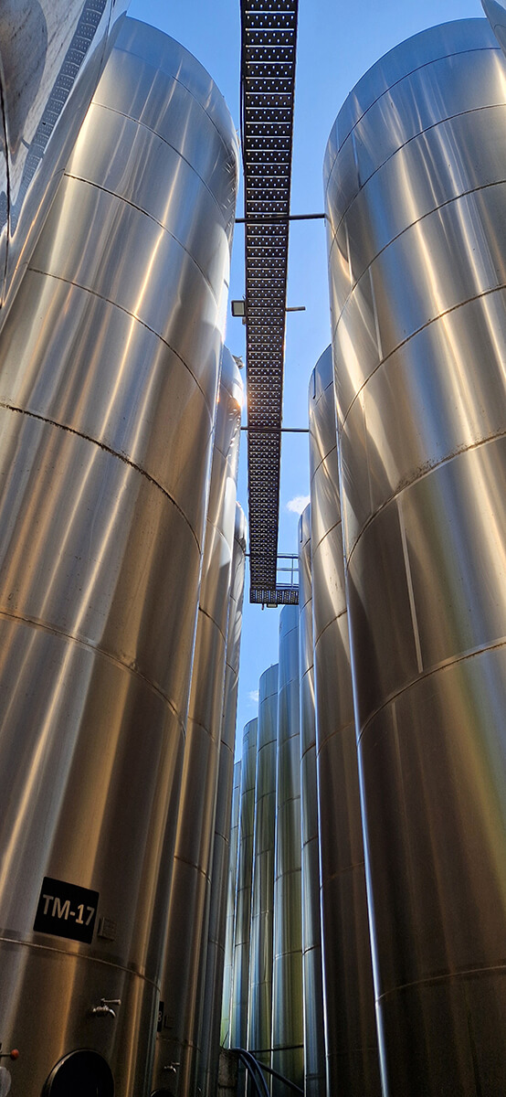 Winery Process