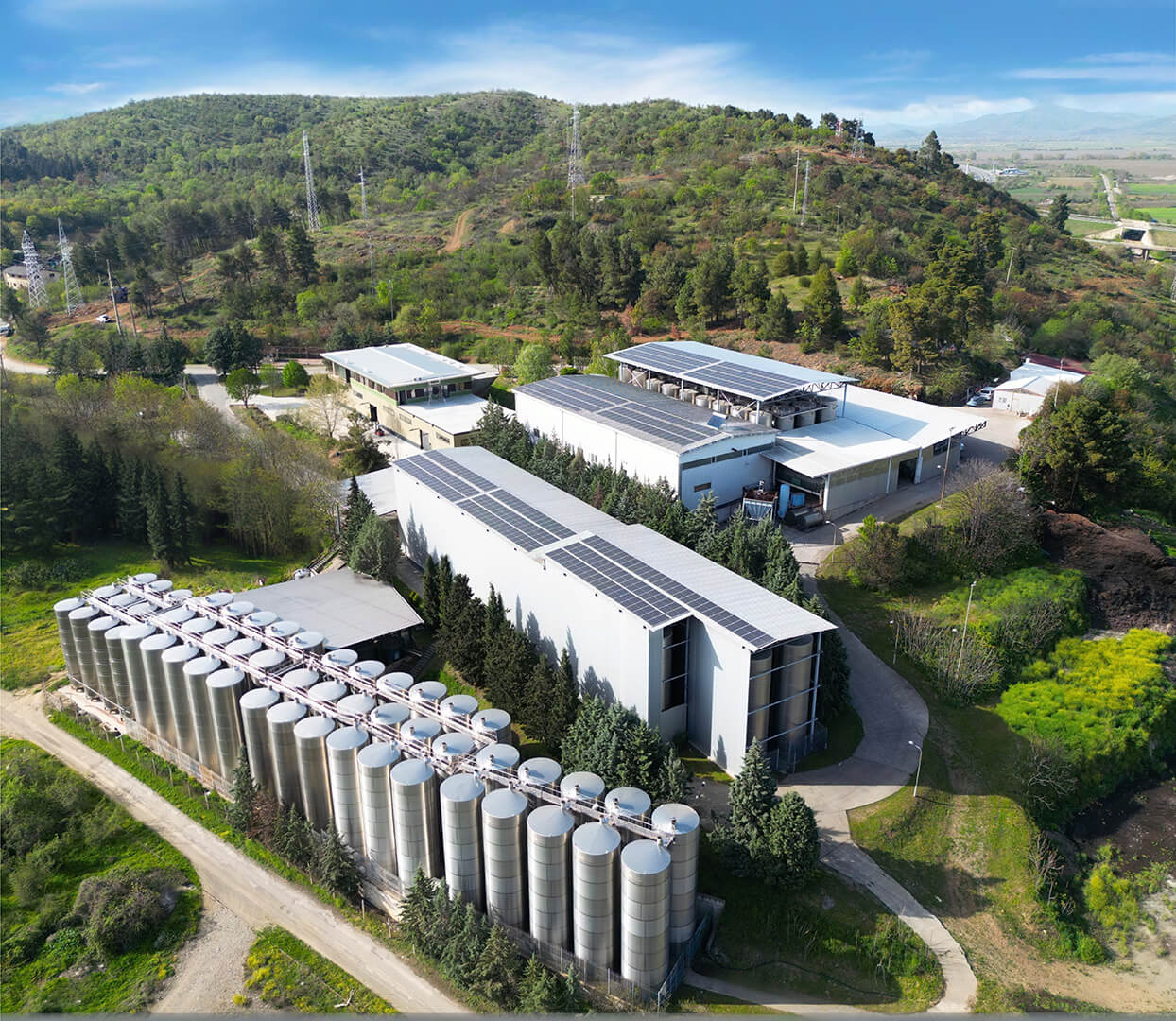 Wine Tanks