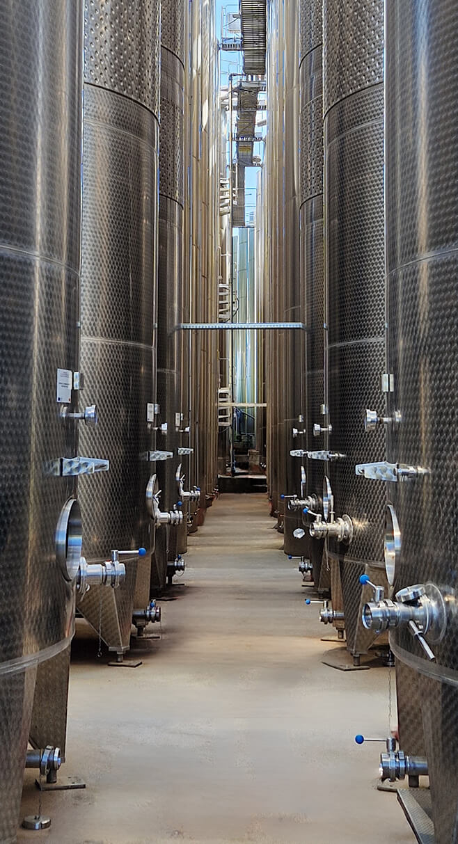 Winery Facilities